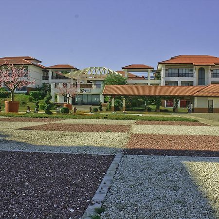 Ilocos Norte Hotel & Convention Center 拉瓦格 外观 照片